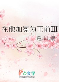 在他加冕为王前3