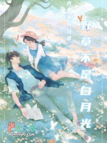 野荷刺(野草不是白月光)